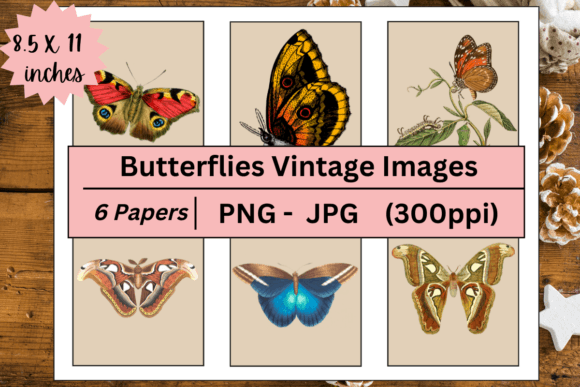 Download Butterflies Vintage Digital Images - Digital images Collection